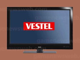 Vestel TV Ses Var Görüntü Yok