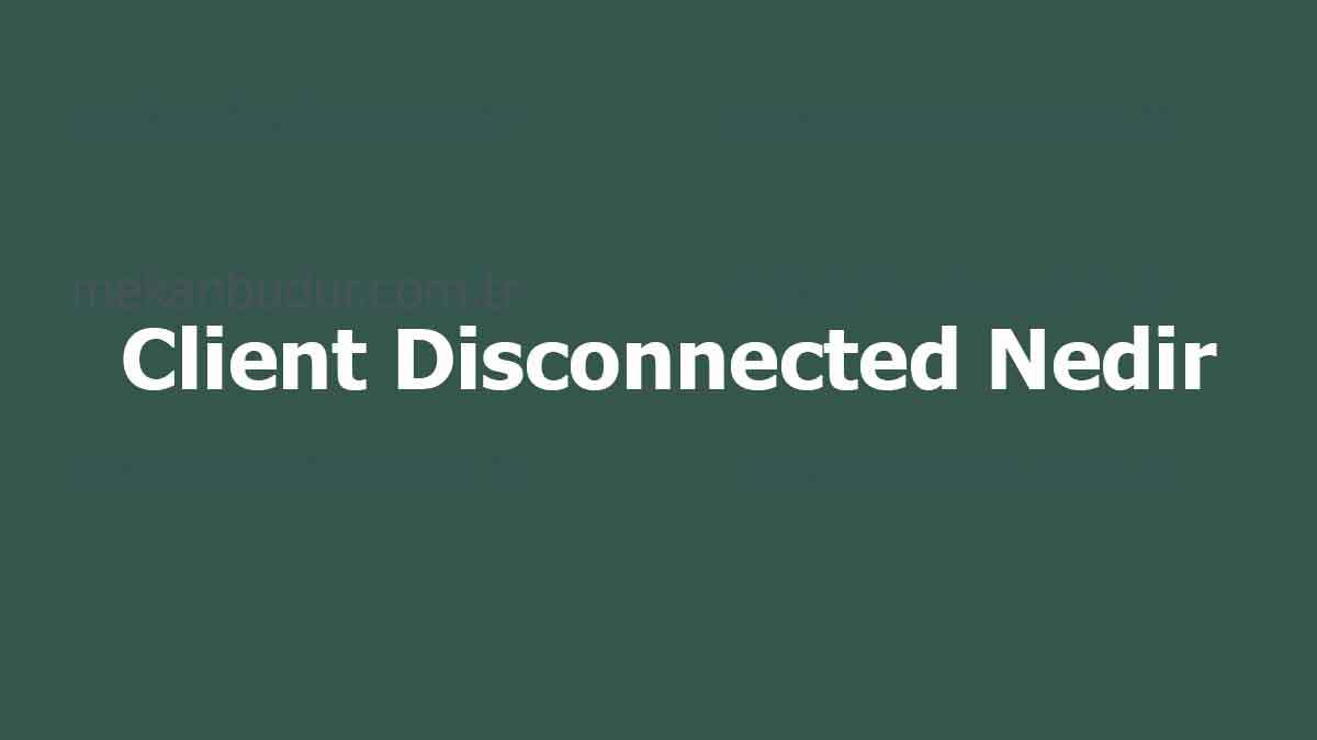 Client Disconnected Nedir