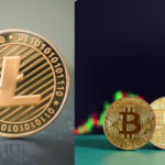 Litecoin ve bitcoin arasındaki farklar neler?