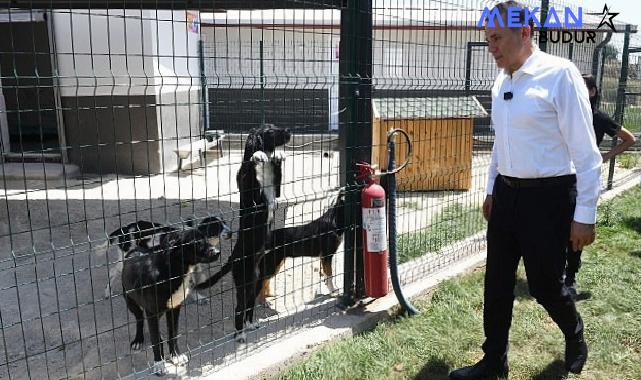 Başkan Özyiğit, “Bakımevimizde sokak hayvanlarını sahiplendirmeye başladık”