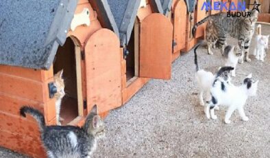 Kemer Belediyesi “Can dostları”nın yanında