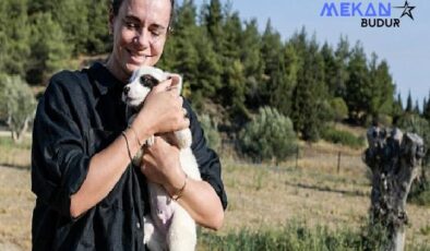 Yangından kurtarılan hayvanlar rehabilite ediliyor