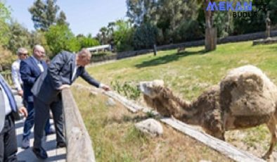 Başkan Tugay: İzmir’in vicdanını temsil ediyorsunuz