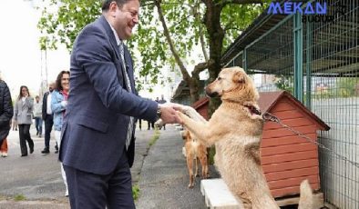 Kadıköy Belediyesi Geçici Hayvan Bakımevi Yenilendi